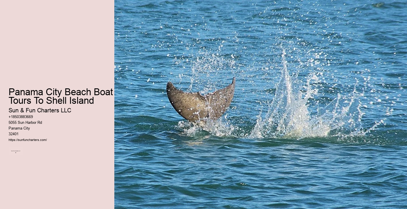 Panama City Beach Boat Tours To Shell Island