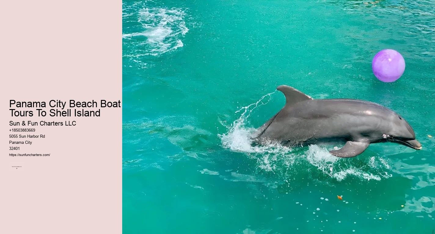 Pcb Shell Island Tours