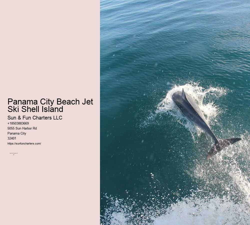 Shell Island Dolphin Cruise Panama City Beach