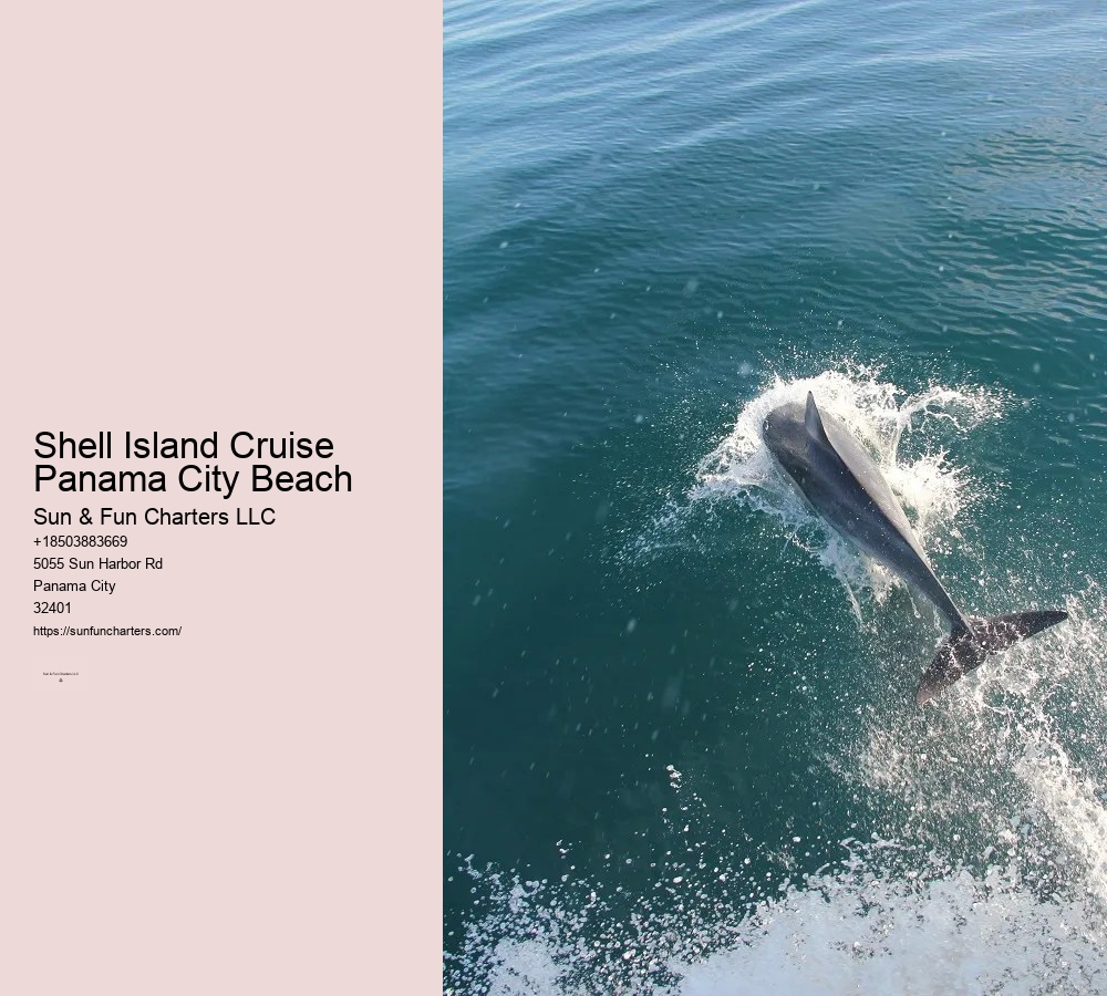 Shell Island Tours Panama City Beach