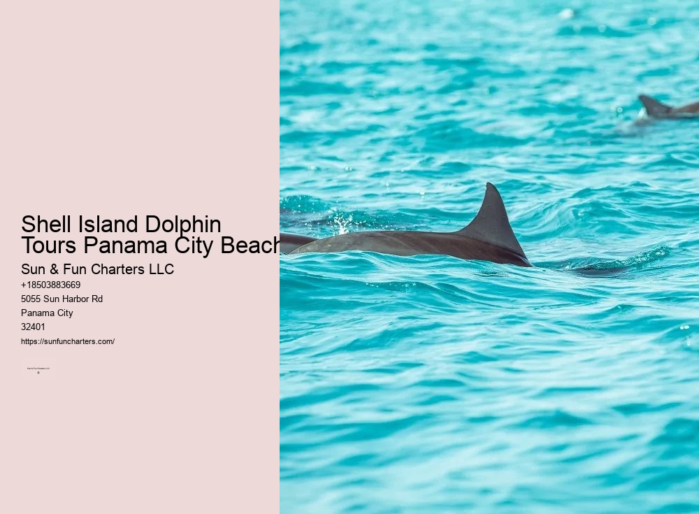 Shell Island Boat Tours Panama City Beach