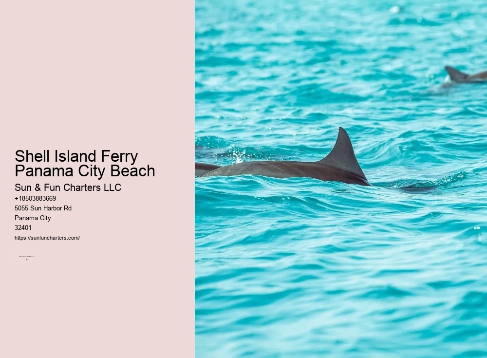 Panama City Beach Boat Tours To Shell Island
