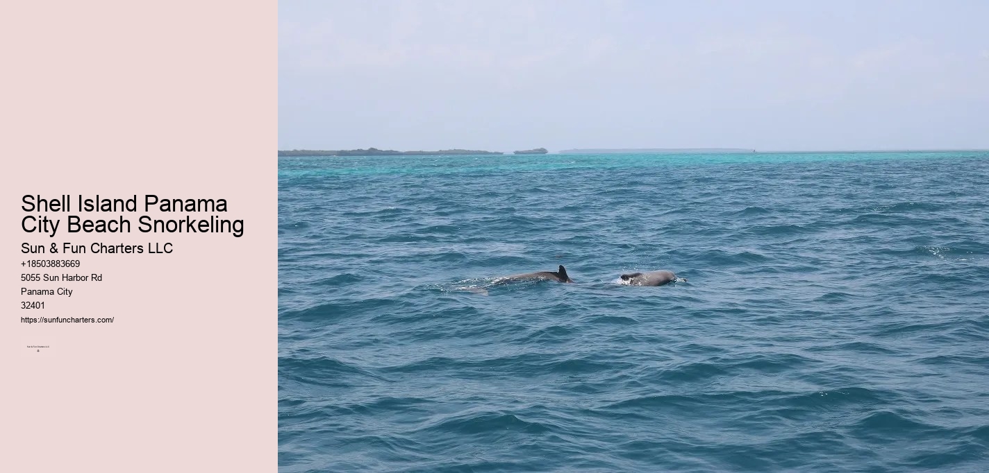 Shell Island Dolphin Tours Panama City Beach