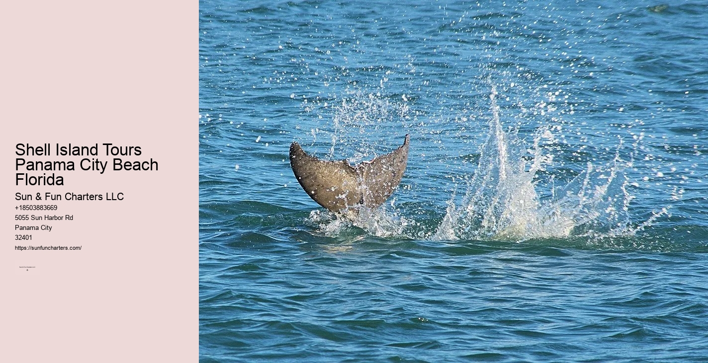Shell Island Tours Panama City Beach Florida