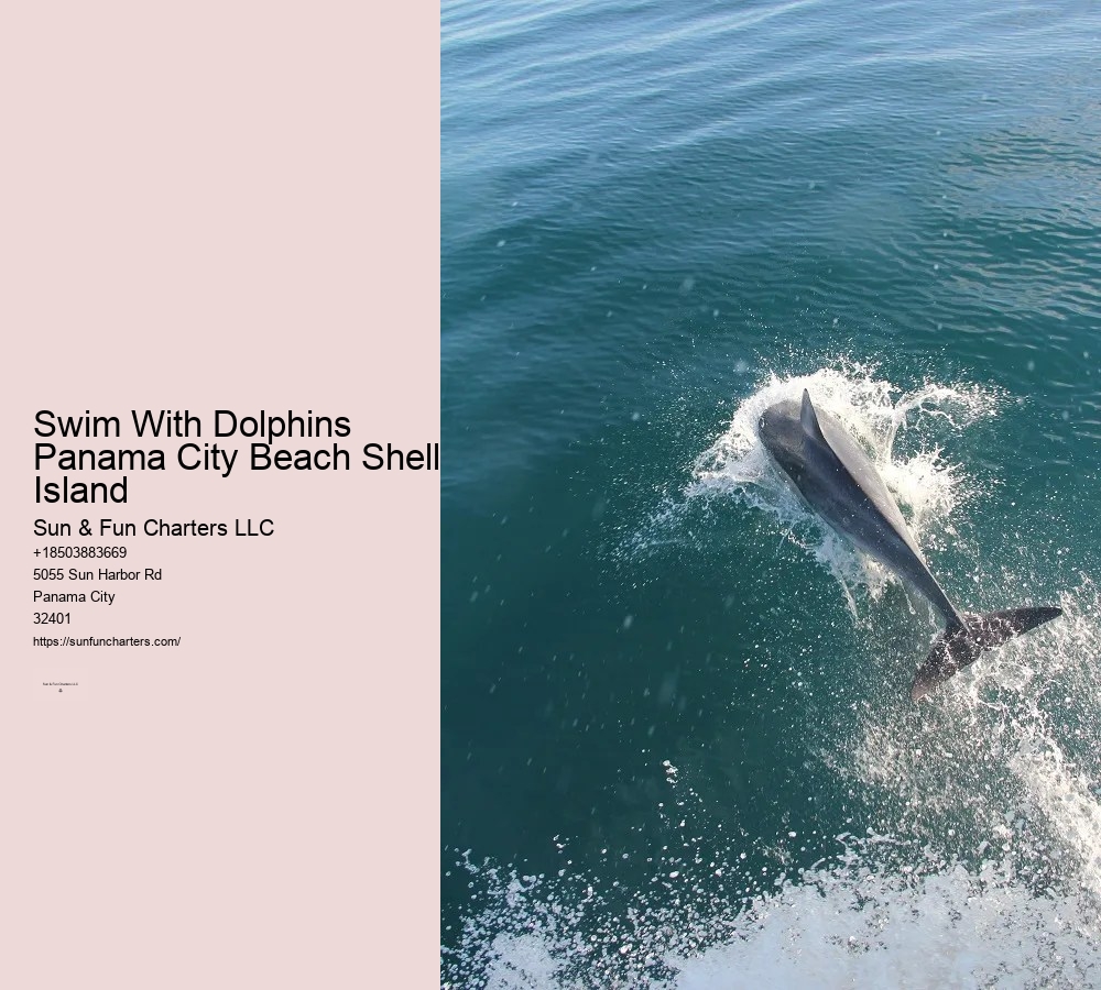 Shell Island Panama City Beach Tours